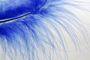 A Soft Sea Washed Around the House: Captivating Imagery 9 A Soft Sea Washed Around the House: Captivating Imagery