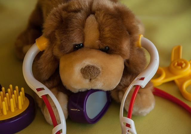 Quick Fix: How to Clean Your Dog's Ears at Home Comfortably 9 When to Seek Veterinary Care for Your Dog's Ear Issues