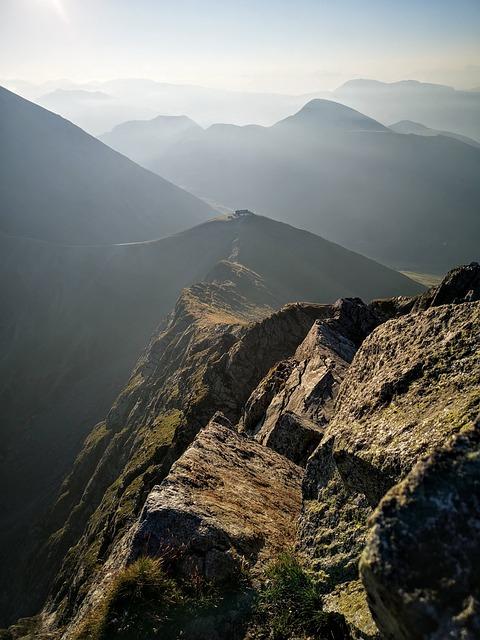 How Much Does a Wash Machine Weigh? Appliance Weight Considerations 5 Comparing the Weight of Top Load vs. Front Load Washers