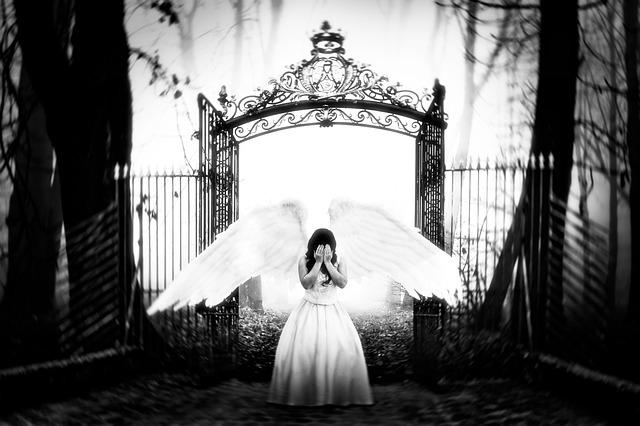 How to Fix a Leak in Washer Fluid Reservoir: Expert DIY Guide 2 Identifying the Leak in Your Washer Fluid Reservoir