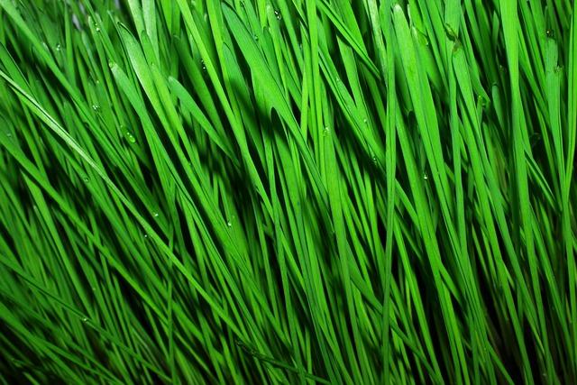 Fashion Advice: A Clean Tie Attracts the Soup of the Day - Style Tips Revealed 8 Proper Care and Maintenance for Longevity of Your Ties