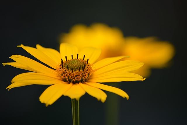Can You Wash Sheer Curtains? Delicate Fabric Care 3 Understanding the Delicate Fabric Care Instructions