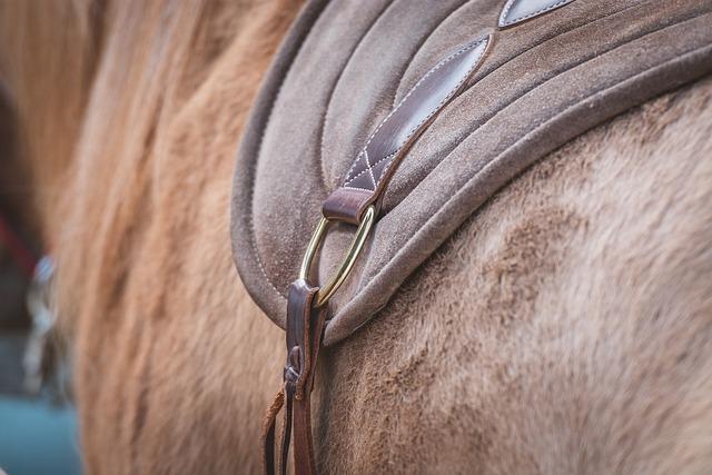 How to Clean Saddle Pads Without Washing Machine: Fabric Care Tips 6 - Tips for Maintaining the Quality of Saddle Pads