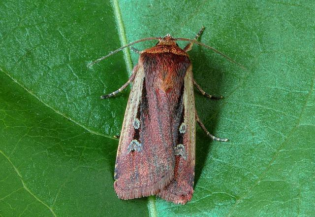 Fashion Advice: A Clean Tie Attracts the Soup of the Day - Style Tips Revealed 9 Experimenting with Bold Colors and Prints to Make a Statement