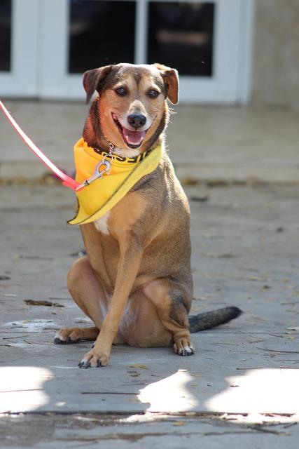 Can Dry Cleaners Remove Gum? Expert Tips for Sticky Situations! 7 Considering Special Treatments for Delicate Fabrics