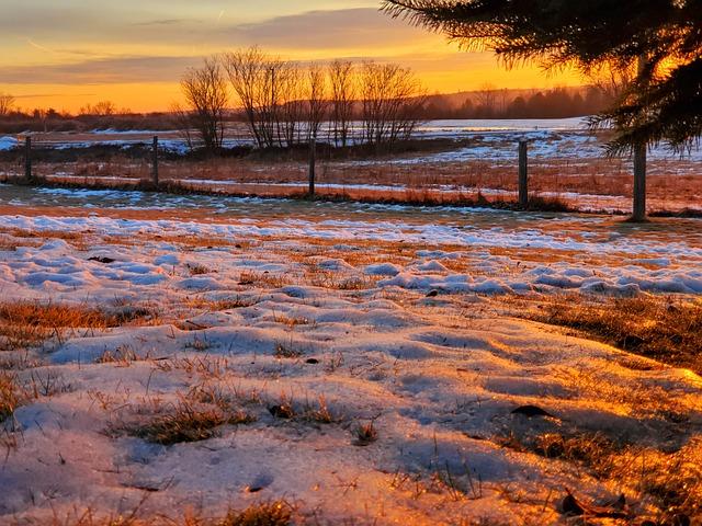Insider Secrets: How to Clean Colored Canvas Shoes 5 Tips for Preventing Color Fading: Preserving the Vibrancy of Colored Canvas Shoes