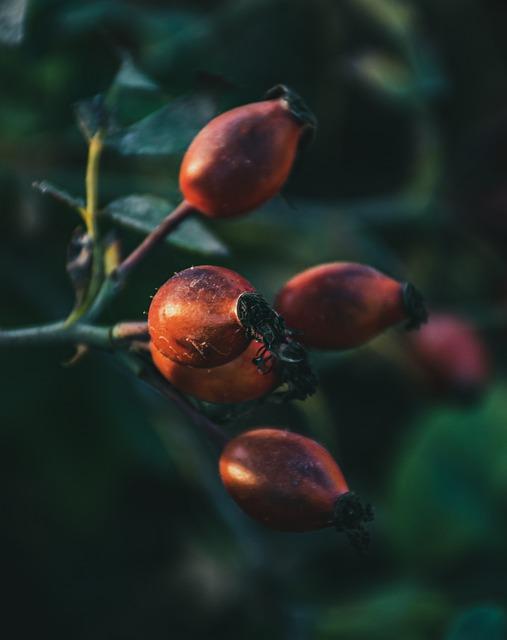 Washing a 100% Polyester Blanket: Expert Care Tips for Softness 3 Gentle Cycle vs. Regular Cycle: Which is Best?