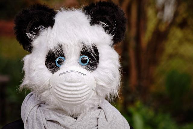 Precautions to Take when Dry Cleaning Your Carpet at Home