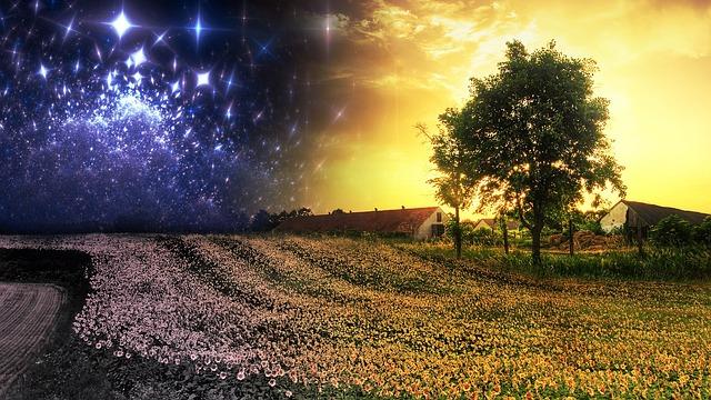 Insider Tips: How to Clean Matte Black Faucet Professionally 8 Enhancing the Appearance of Matte Black Faucets with Proper Cleaning Techniques