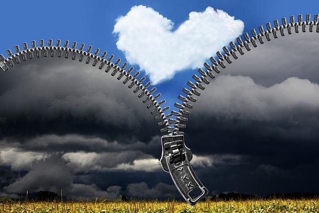 Can Dry Cleaners Replace Zippers? Say Goodbye to Zipper Mishaps! 8 Cost-Effective Solutions for Zipper Repairs