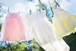 Does Dry Cleaning Clothes Kill Bed Bugs? Protect Your Home Now! 6 Does Dry Cleaning Clothes Kill Bed Bugs? Protect Your Home Now!