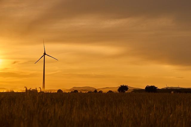 Don Royal Dry Cleaners: Your Trusted Garment Care Solution! 4 Eco-Friendly Cleaning Solutions for a Safe Cleanse