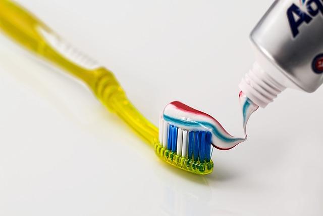 Expert Guide: How Can I Deep Clean My Dog's Teeth at Home? 6 Choosing the Right Toothbrush and Toothpaste for Your Dog