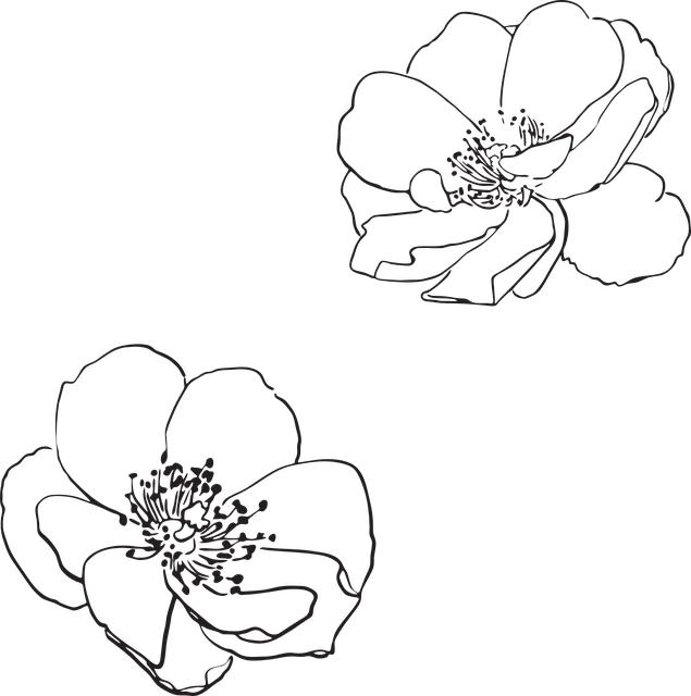 Quick Fix: How to Clean Apl Shoes for a Sporty Look 3 Gentle Cleaning Methods