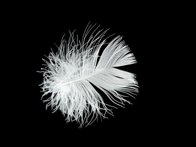 Furniture Restoration: How to Clean Wooden Furniture at Home for Shine! 3 Gentle Cleaning Techniques for Delicate Wooden Surfaces