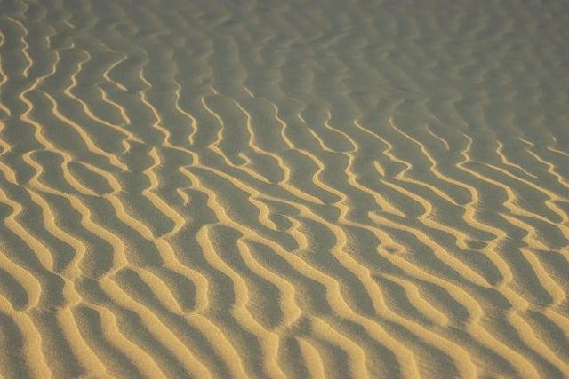 Ensuring Quality Workmanship with Your Dry Cleaner's Sewing Services