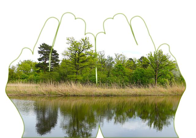 How to Clean Bore Snake: Expert Cleaning Lady Tips & Tricks! 8 Advice on Maintaining Optimal Performance after Cleaning