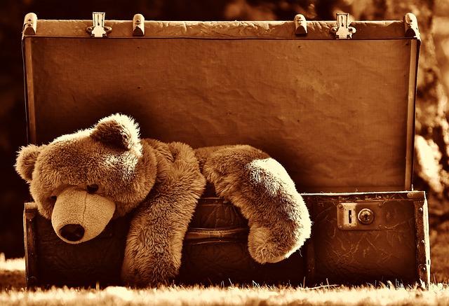 Can You Get Stuffed Animals Dry Cleaned? Expert Toy Care! 10 Best Practices for Maintaining the Cleanliness of Stuffed Animals