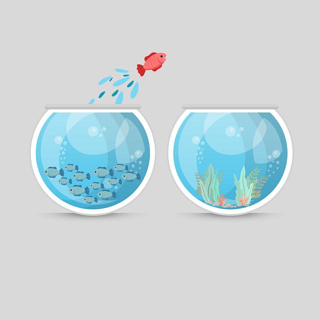 How to Differentiate Between ‍Personal and Business Dry ‍Cleaning Costs