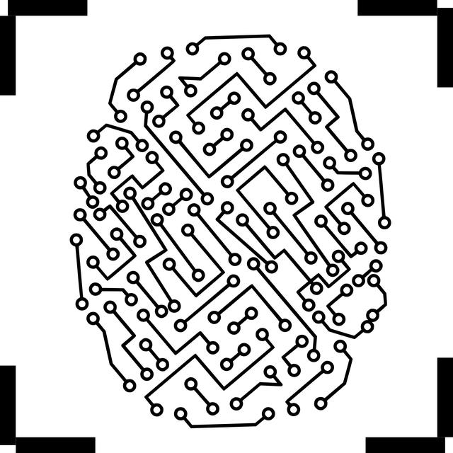 How to Clean Window Film: Expert Advice from a Cleaning Lady! 2 How to Identify the Type of Window Film on Your Windows