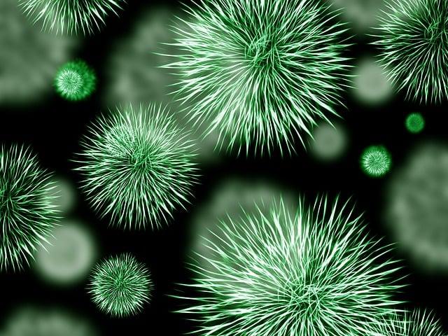What types of viruses can be‌ eliminated through Dry Cleaning?