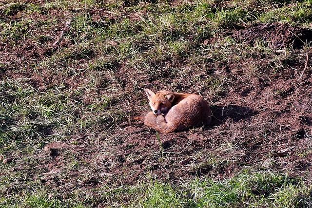 Quick Fix: How to Clean a Down Coat at Home Without Damage 7 Ensuring Down Coat is Fully Dry Before Storing