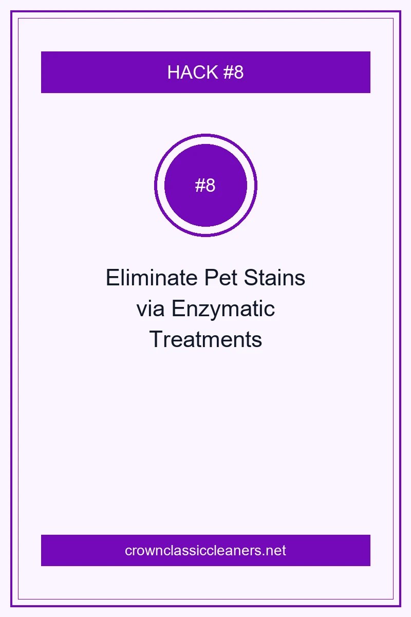 15 Pro Cleaning Tips to Reset Every Room in Record Time 10 Eliminate Pet Stains and Odors via Enzymatic Digestion Treatments - cleaning tips (AI Generated Image)
